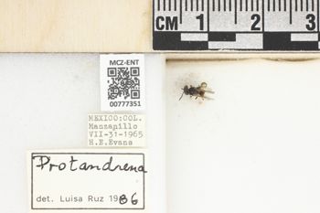 Media type: image;   Entomology 777351 Aspect: Labels